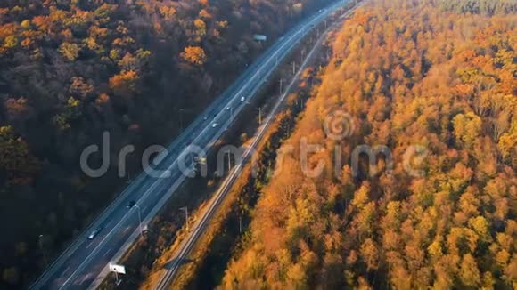 日落时的秋林路无人机鸟瞰视频的预览图
