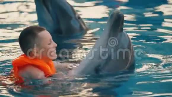 男孩和海豚在游泳池里游泳视频的预览图