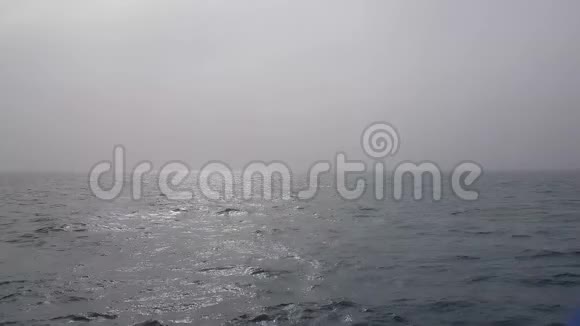 阴天时的海景海浪的太阳冲破了雾朦胧的海洋景观海洋海浪视频的预览图