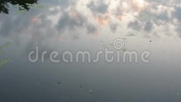 云对水的反思视频的预览图
