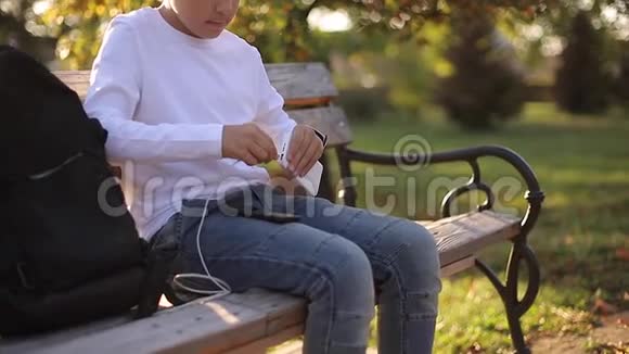 帅气的十几岁男孩从他的背包里拿了一个叫powerbark的东西来给smarphone充电秋天公园里的可爱男孩视频的预览图