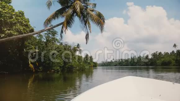 照相机在白色小船的前面缓慢地沿着美丽的阳光明媚的丛林河航行水面上有棕榈树视频的预览图