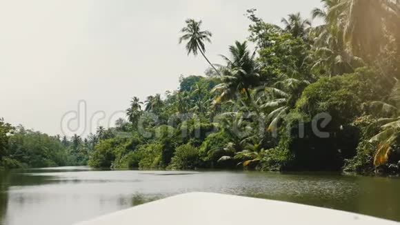 白色的小游船缓慢地沿着美丽的阳光丛林河流航行郁郁葱葱的绿棕树倚在水面上视频的预览图