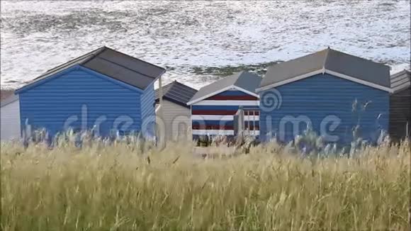 海边的海滩小屋摇曳着草地视频的预览图