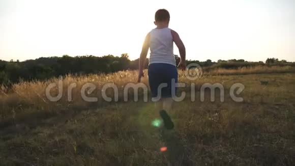 跟着在草地上奔跑的小男孩在户外草坪上慢跑的小孩有视频的预览图