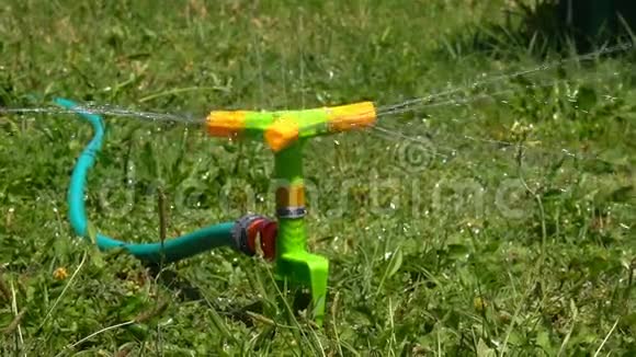 草地洒水灌溉视频的预览图