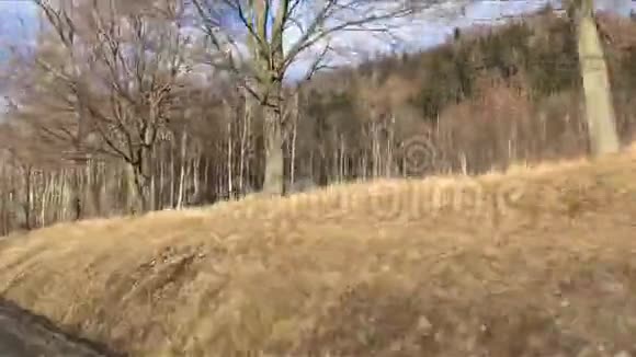 从移动的车窗上看到桦树早春有白色树干的森林视频的预览图