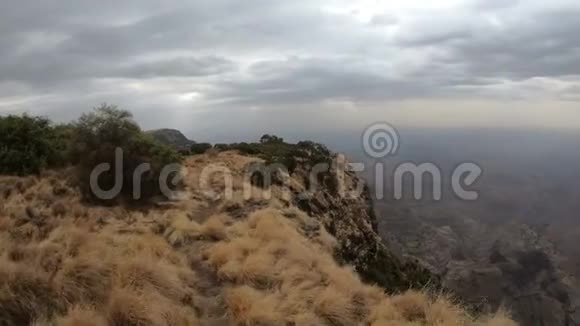 漫步在非洲埃塞俄比亚荒野的西米恩山视频的预览图