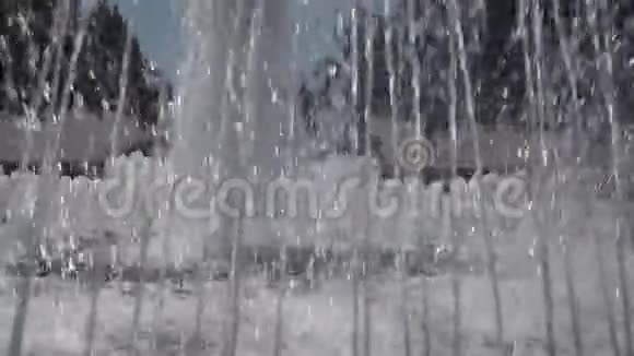 在夏季的一天在公园里特写城市喷泉视频的预览图