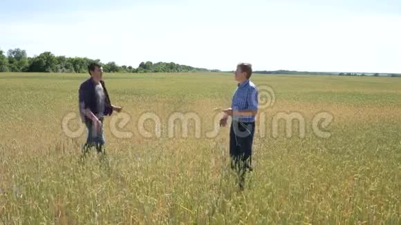 两个农夫站在麦田里在日落时握手视频的预览图