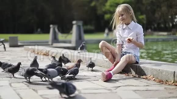 快乐的金发女孩在湖边的公园里喂鸽子面包视频的预览图