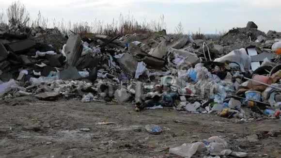 工业和家庭废物大型垃圾堆变质的垃圾垃圾倾倒场或垃圾填埋场的脏臭垃圾视频的预览图
