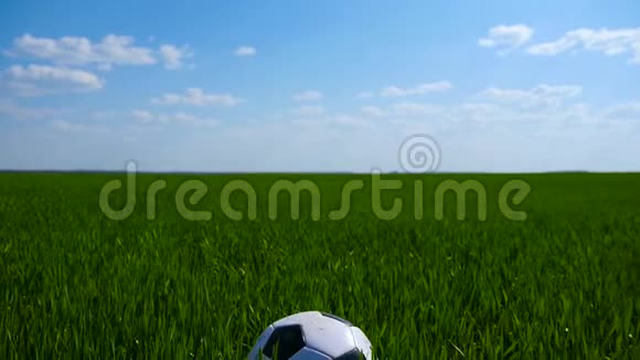 足球场草地上的足球特写视频的预览图
