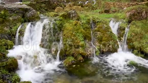 苔藓覆盖的石头和岩石沿着水流穿过绿色森林视频的预览图