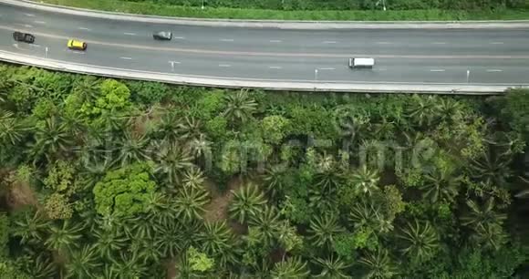 棕榈树森林中的汽车和摩托车从高速公路上的科普特高空俯瞰视频的预览图