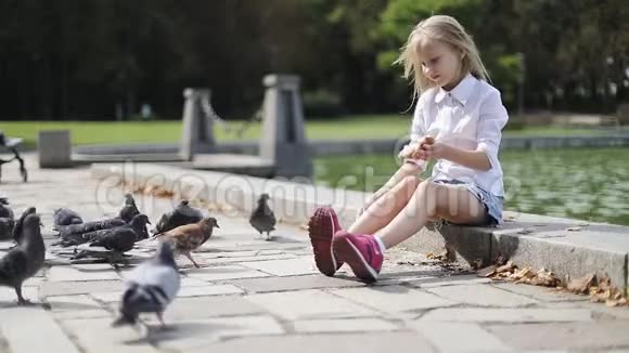 可爱的金发女孩在湖边的公园里喂鸽子面包视频的预览图