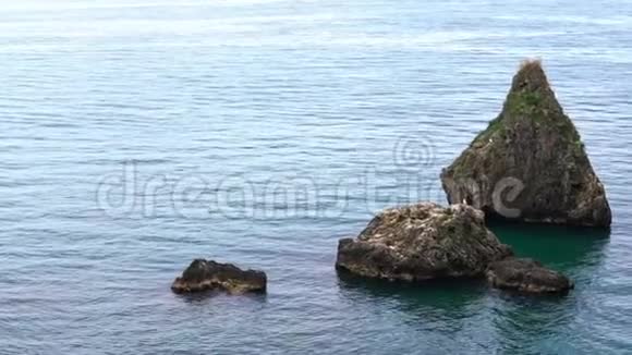 美丽的自然场景与海洋在意大利常见的海鸥在岩石上飞翔视频的预览图