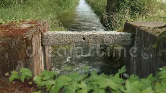 锁定在意大利的一个小沟里前景是常春藤的叶子视频的预览图