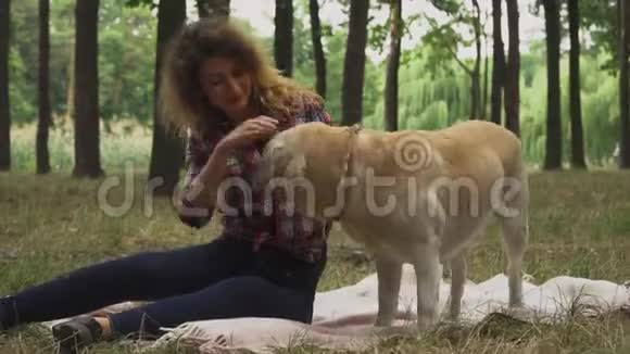 小女孩在森林里抚摸拉布拉多犬视频的预览图