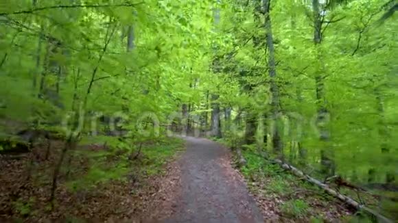 在绿色森林的小径上行走的个人视角稳定的凸轮镜头徒步穿越森林的徒步旅行者视频的预览图