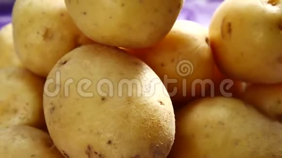 新鲜的幼嫩黄色有机土豆视频的预览图