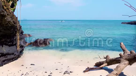 热带天堂海滩白沙和倒下的树旅游广景背景概念视频的预览图