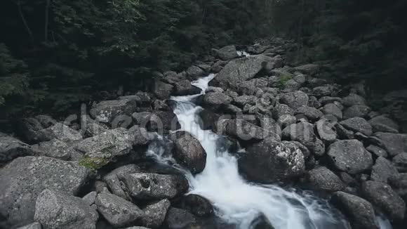 山泉溪森林中的小瀑布视频的预览图