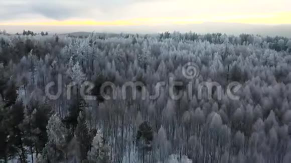 日落时分在奥斯陆拍摄的挪威森林冬季无人驾驶飞机上飞行平稳飞行相机4K镜头视频的预览图
