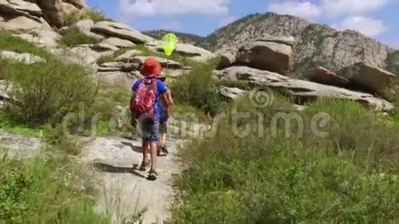 男孩们背着背包散步在山上捉蝴蝶视频的预览图