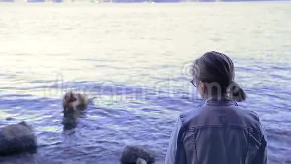 年长的女人慈爱地看着她的狗在水里玩耍视频的预览图