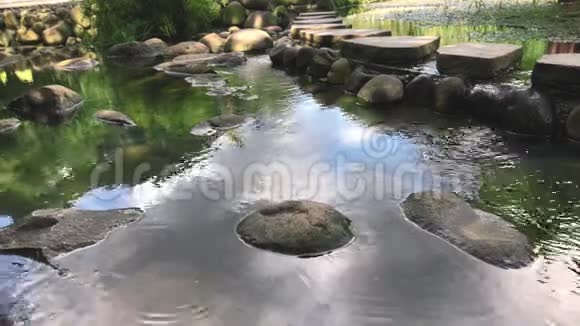 湖边的雨水淋浴雨水滴在水面上视频的预览图