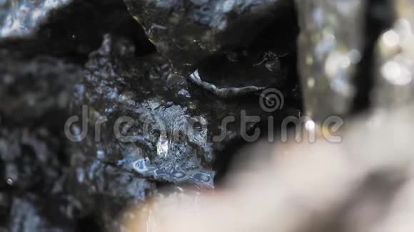 水滴在岩石上视频的预览图