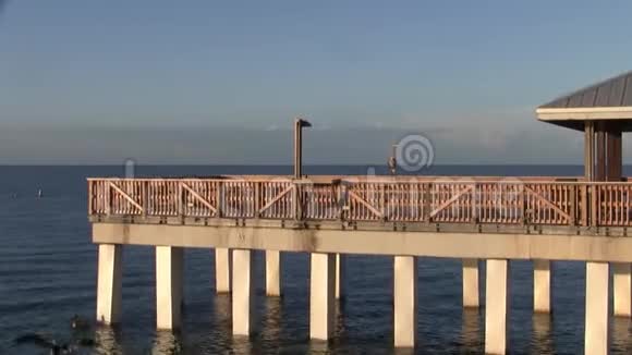 黄昏时分鸟儿坐在迈尔斯堡海滩钓鱼码头上蓝色的巨大鹭鸟视频的预览图