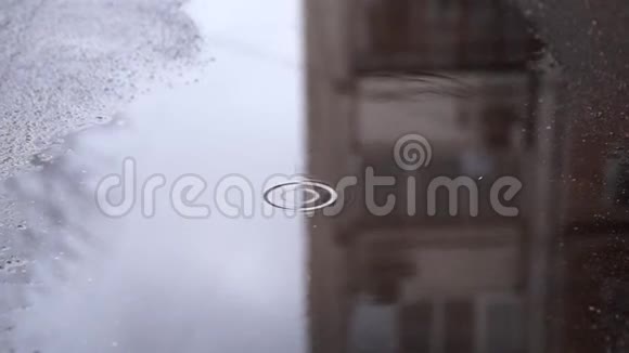 雨滴落在水池里视频的预览图