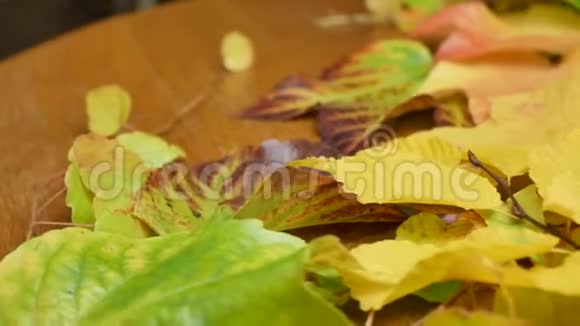 叶子上的季节性蔬菜秋色视频的预览图