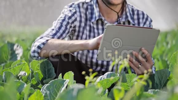 农民在监测种植园期间使用数字平板电脑的特写镜头视频的预览图