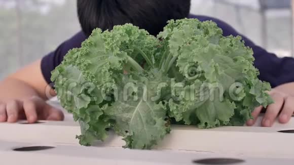 快乐的亚洲小男孩搭配绿色沙拉营养健康表达爱吃蔬菜的快乐视频的预览图