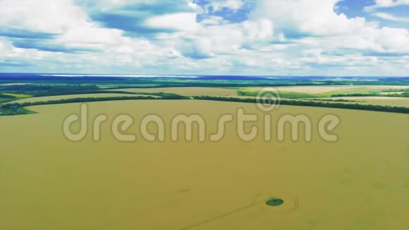 空中无人驾驶飞机在乡村景观中的前进视野视频的预览图