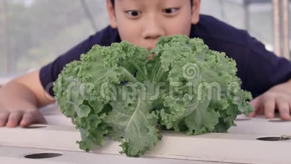 快乐的亚洲小男孩搭配绿色沙拉营养健康表达爱吃蔬菜的快乐视频的预览图
