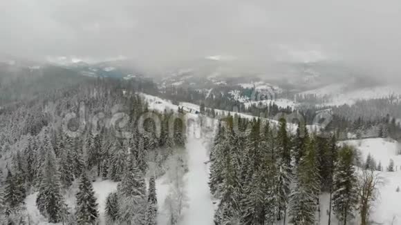 空中无人驾驶飞机射击滑雪者通过轨道在冬季在神话般的山脉森林覆盖着雪和视频的预览图