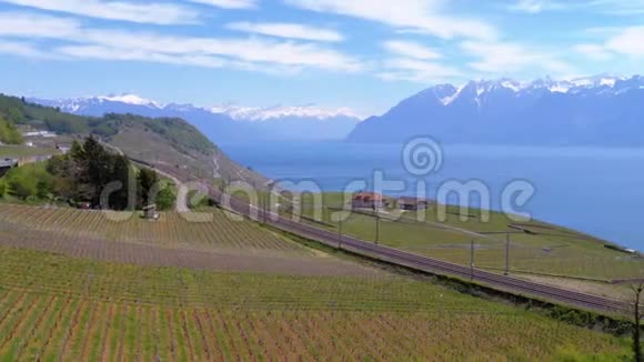 日内瓦湖附近有葡萄园和瑞士阿尔卑斯山的铁路景观瑞士视频的预览图