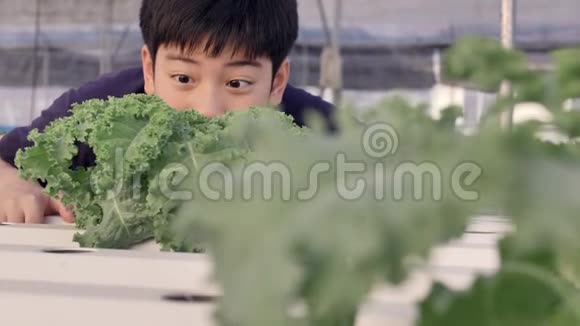快乐的亚洲小男孩带着绿色沙拉健康营养表达着吃蔬菜的快乐视频的预览图