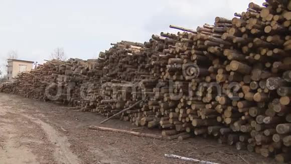 砍伐树木木材仓库木头视频的预览图