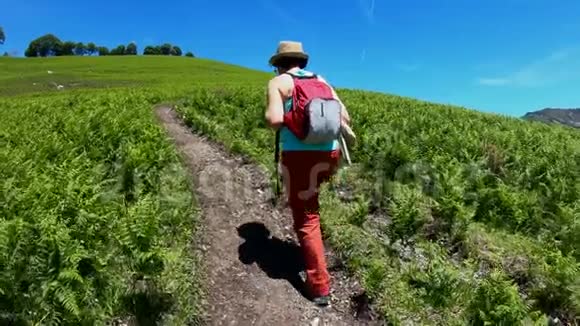 在山里徒步旅行背着背包行走的女人的后景视频的预览图
