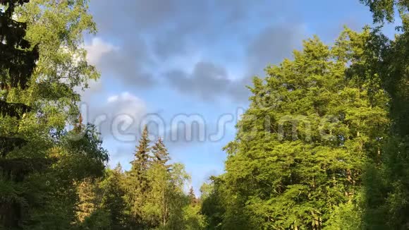 保加利亚索非亚附近的维托沙自然公园金桥区云景延时录像视频的预览图