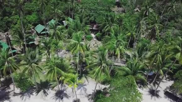 泰国棕榈树环绕的热带岛屿陶岛有居民区高空俯视图视频的预览图