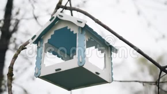 悬挂在树上的鸟食器的特写镜头照顾动物自然视频的预览图
