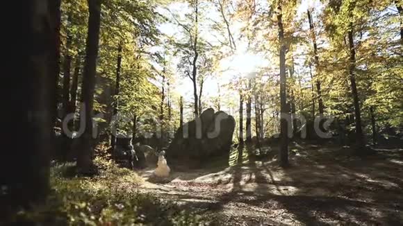 日落时分夫妻在秋林中奔跑视频的预览图