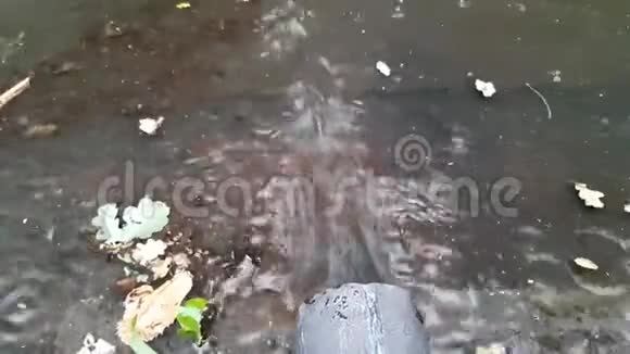 雷雨时雨水从塑料管中涌出视频的预览图