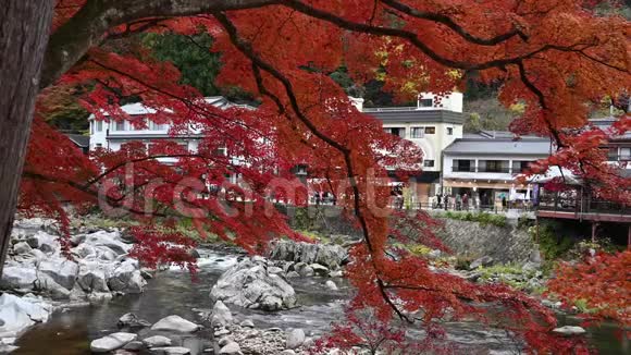 日本古兰寺秋天的美丽景色视频的预览图